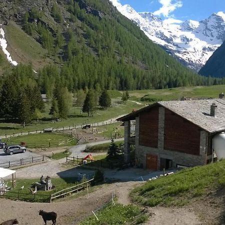 La Ferme Du Grand Paradis Cogne Kültér fotó