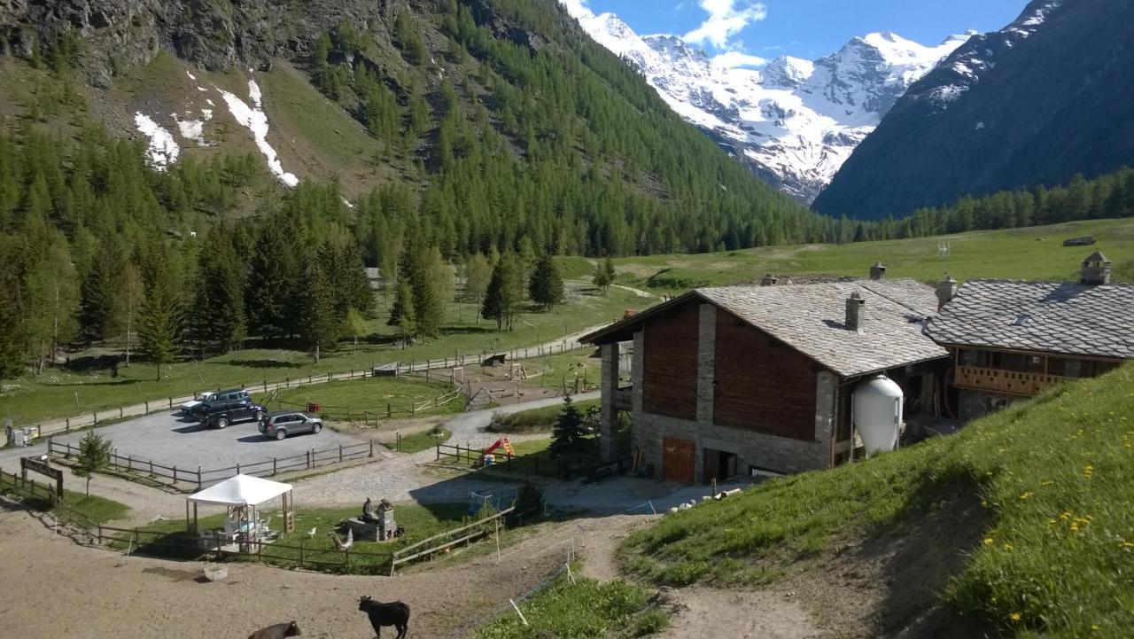 La Ferme Du Grand Paradis Cogne Kültér fotó