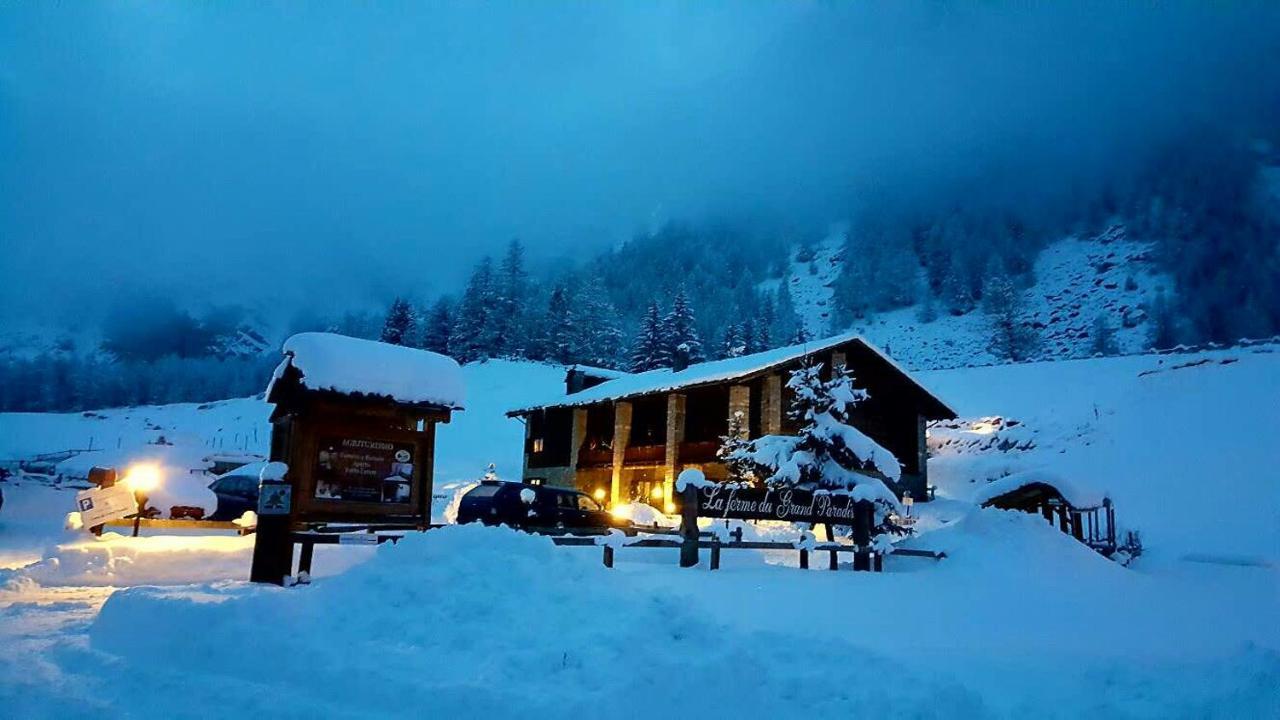 La Ferme Du Grand Paradis Cogne Kültér fotó
