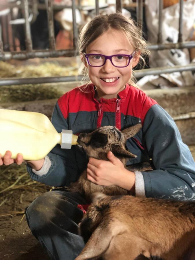 La Ferme Du Grand Paradis Cogne Kültér fotó