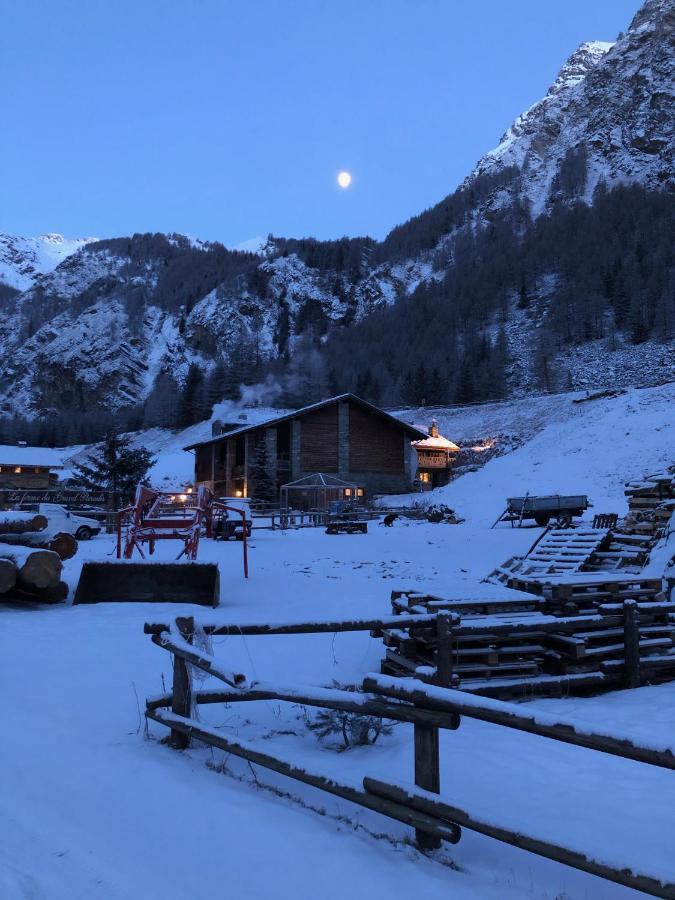 La Ferme Du Grand Paradis Cogne Kültér fotó